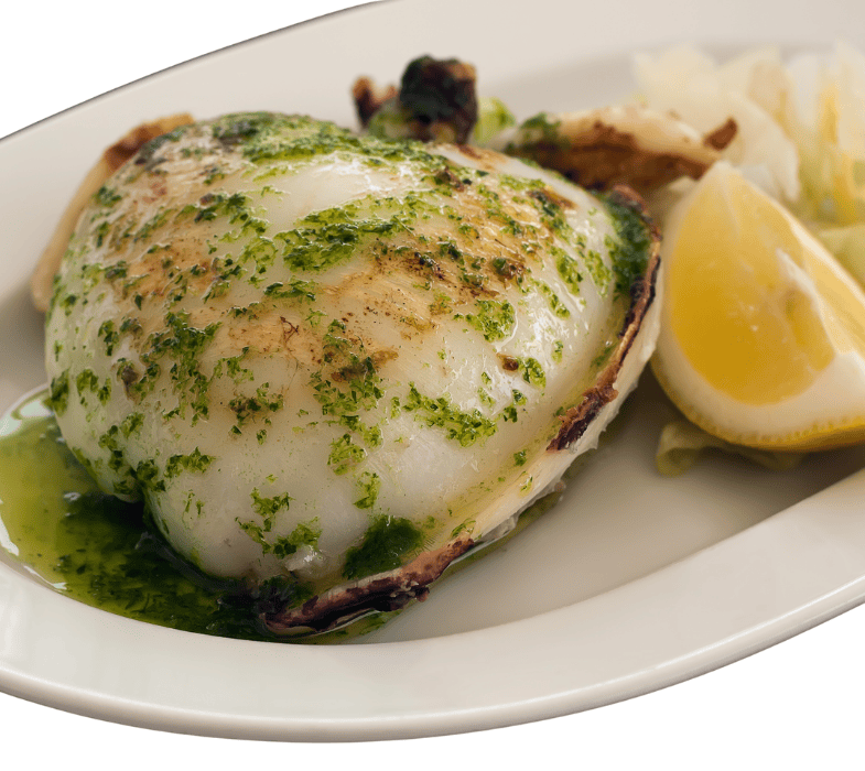 Clarico-Slider Style 5