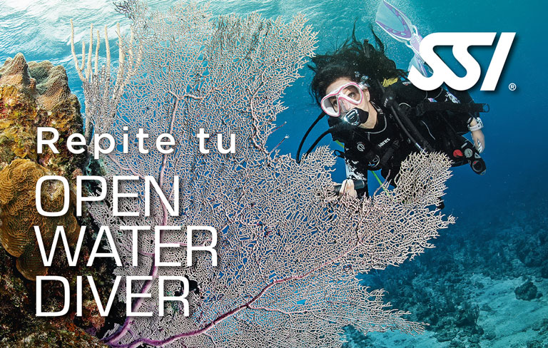 Clarico-Slider Style 4