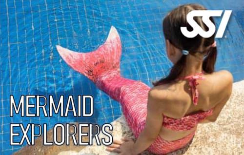 Clarico-Slider Style 4