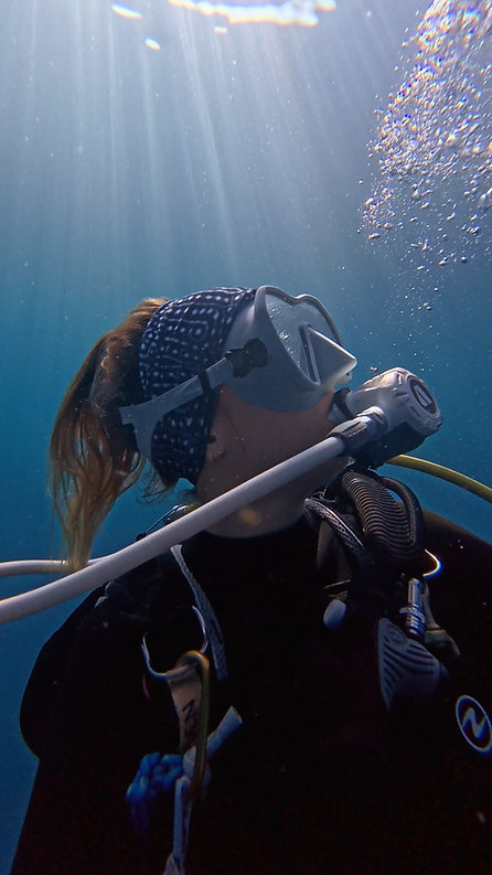 Cinta Whale Shark [Wear the ocean]