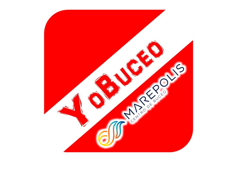 Alquiler equipo completo BUCEO