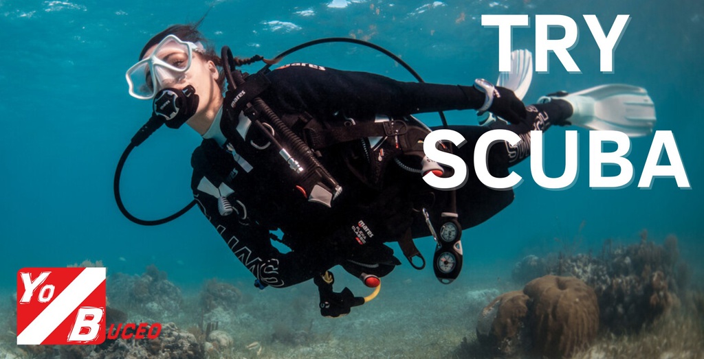 Bautizo de buceo (Try Scuba) con fecha