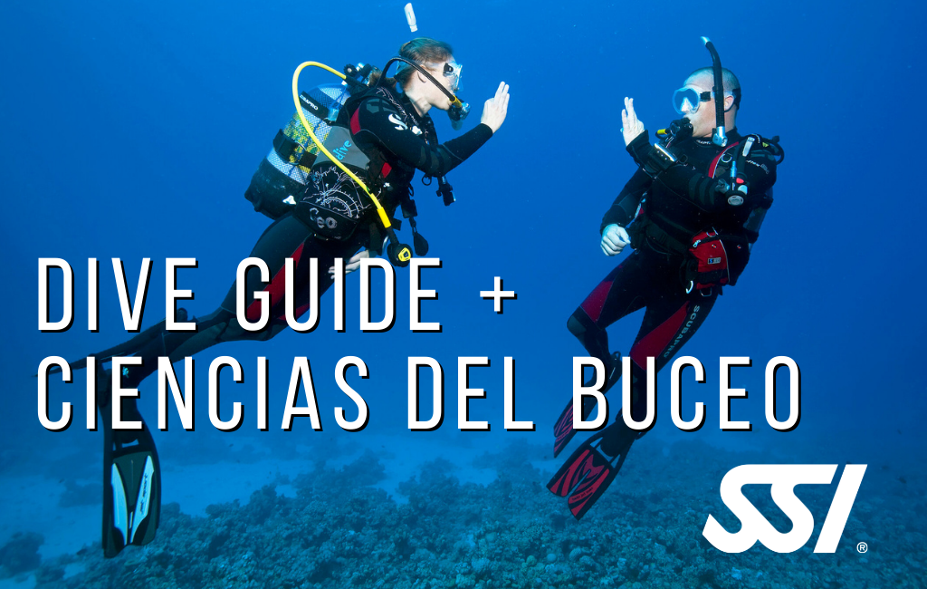 Curso Dive Guide + Ciencia del buceo SSI [SR]