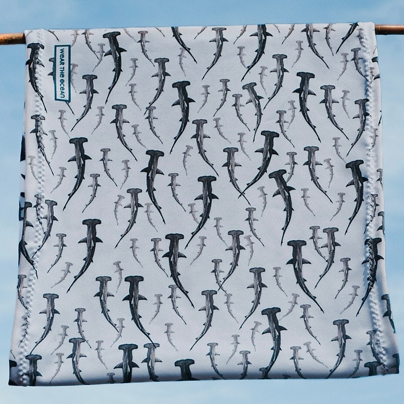 Cinta Tiburón martillo [Wear the ocean]