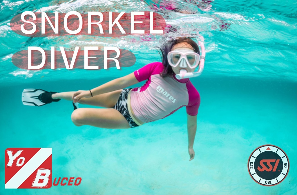Snorkel Diver (desde playa)