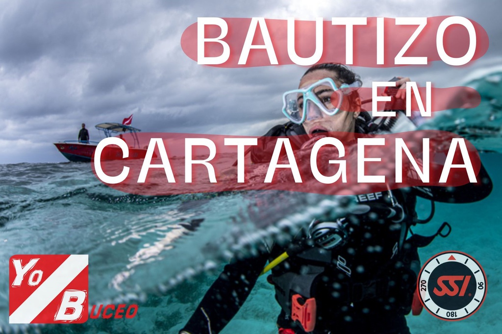 Bautizo de buceo en Cartagena