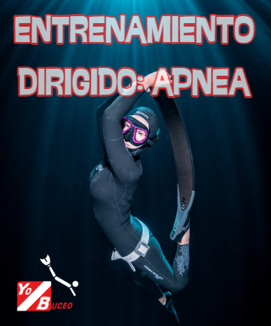Entrenamiento dirigido APNEA YB con fecha
