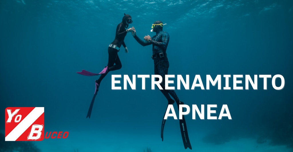 Entrenamiento supervisado de Apnea [SR]